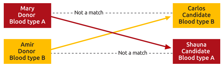 Mary wants to donate a kidney to Carlos, but they do not match. Amir wants to donate to Shauna, but they do not match. Mary is a match for Shauna, and Amir matches Carlos.