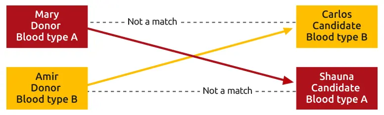 Mary wants to donate a kidney to Carlos, but they do not match. Amir wants to donate to Shauna, but they do not match. Mary is a match for Shauna, and Amir matches Carlos.